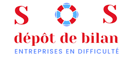 logo Sos Depot Bilan